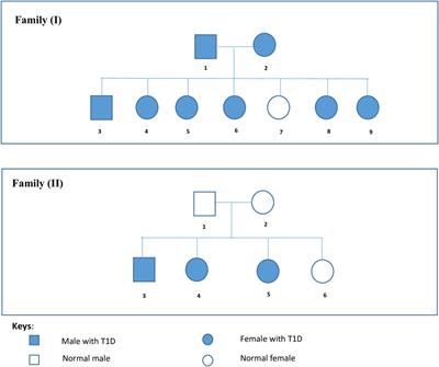 Identification of gene mutations associated with type 1 diabetes by next-generation sequencing in affected Palestinian families